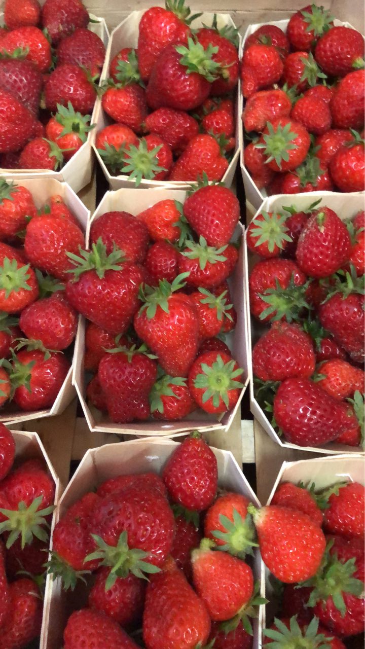 Fraise